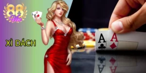 xi dach 88vin