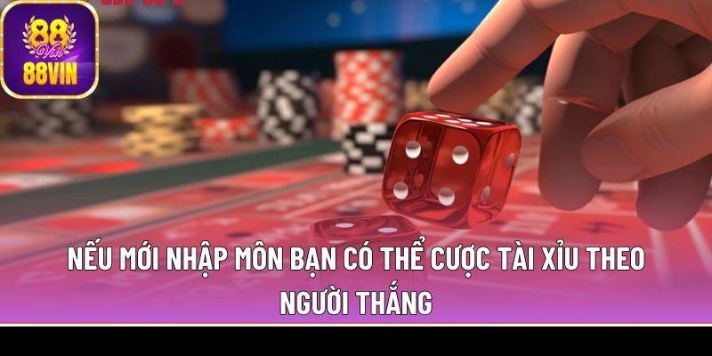 Nếu mới nhập môn bạn có thể cược tài xỉu theo người thắng